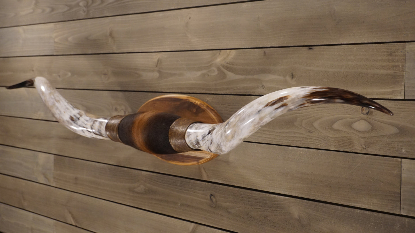 6' 9" Longhorn Wall Mount #202