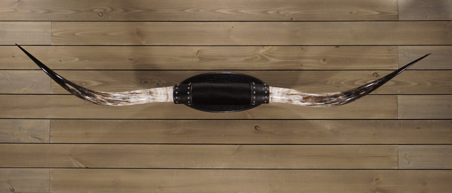 6' 3" Longhorn Wall Mount #208