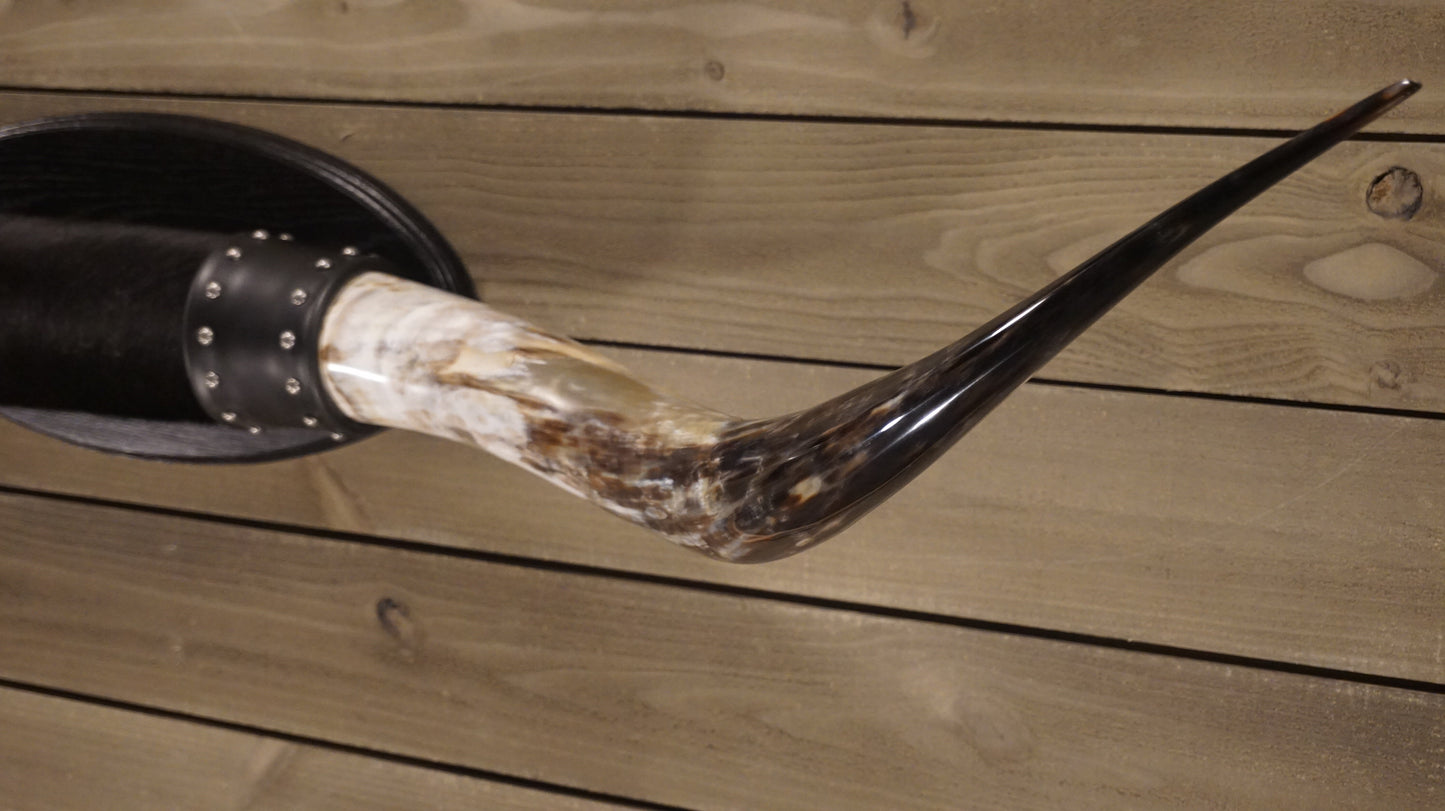 6' 3" Longhorn Wall Mount #208