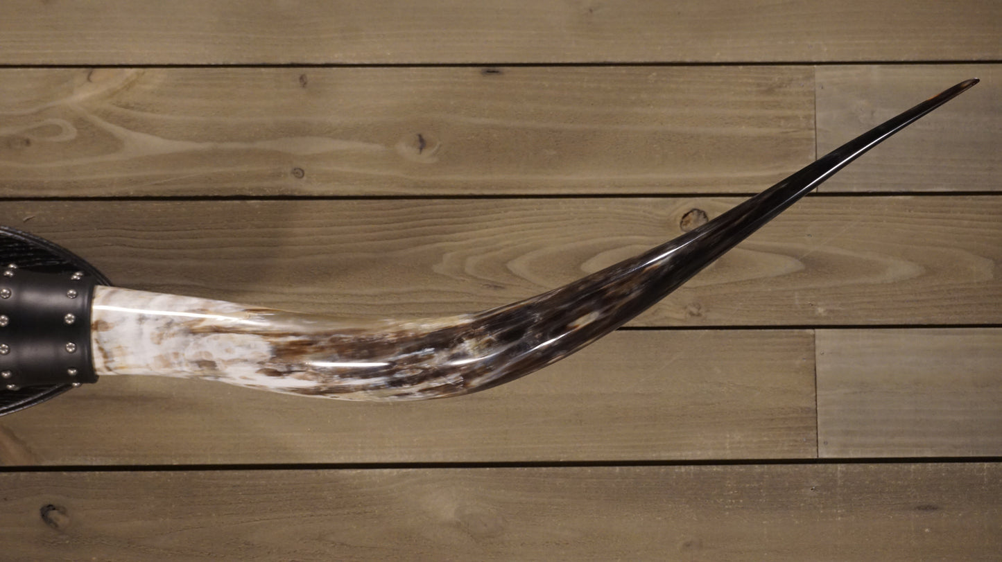 6' 3" Longhorn Wall Mount #208