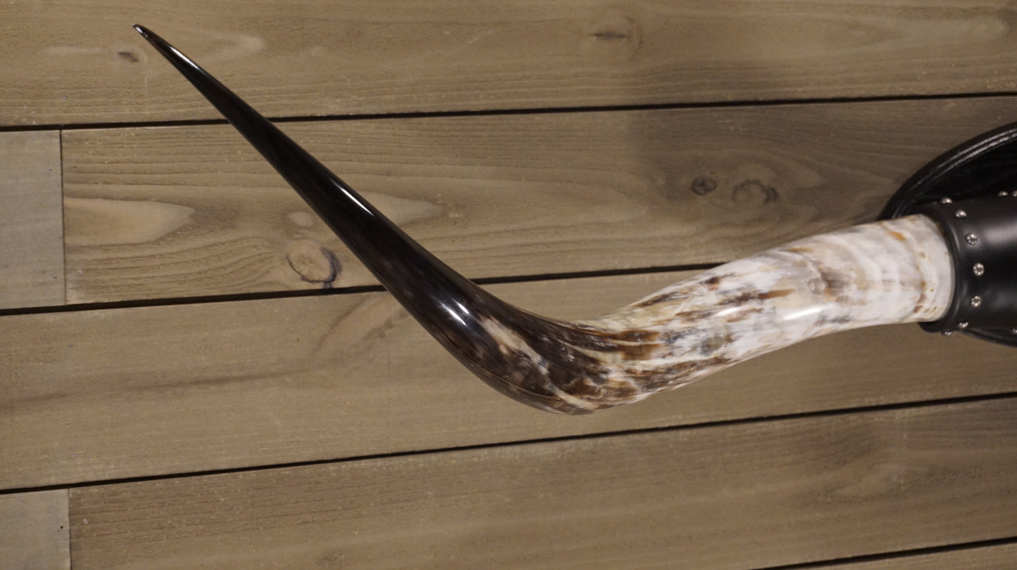 6' 3" Longhorn Wall Mount #208