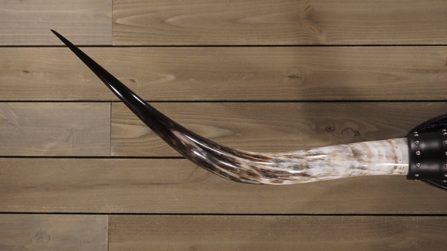 6' 3" Longhorn Wall Mount #208