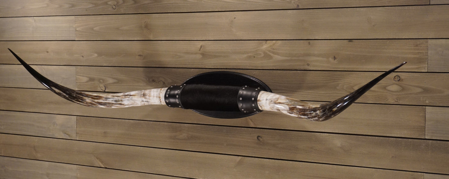 6' 3" Longhorn Wall Mount #208