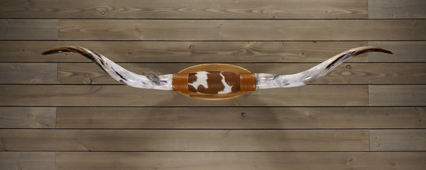 6' 3" Longhorn Wall Mount #210