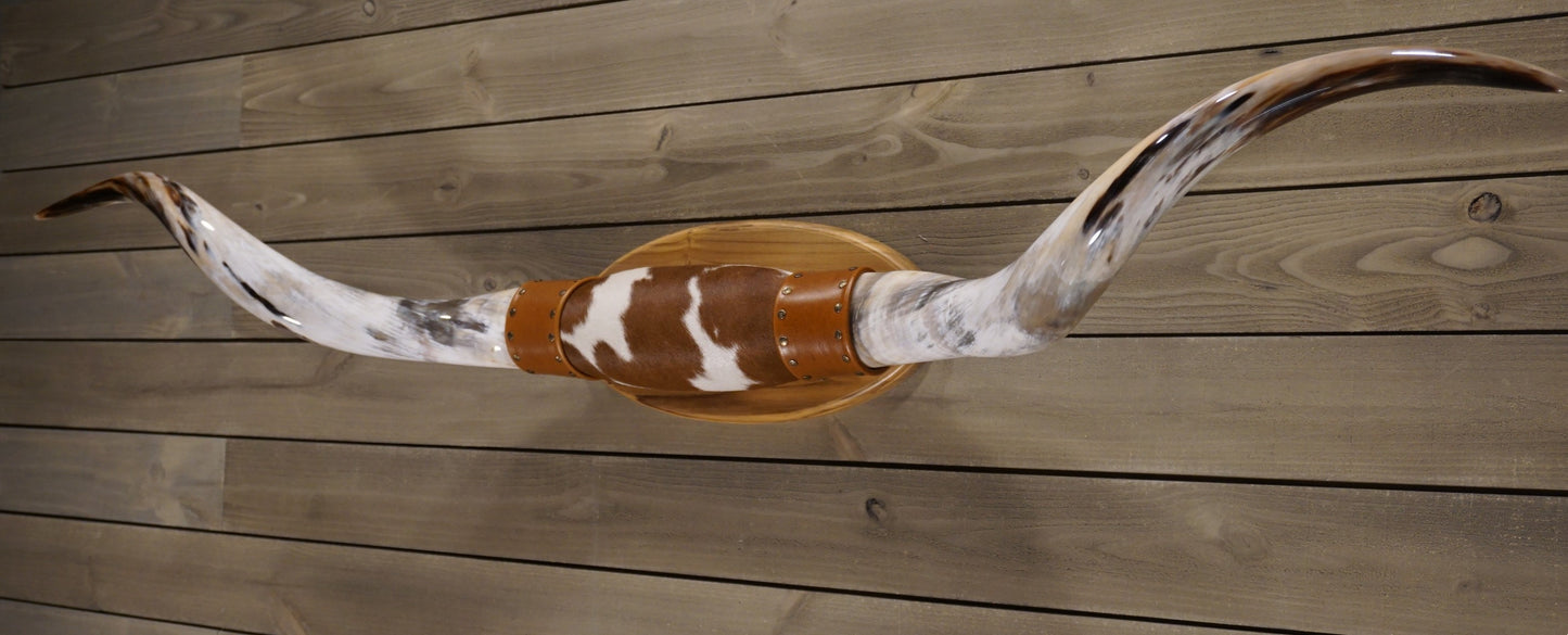 6' 3" Longhorn Wall Mount #210