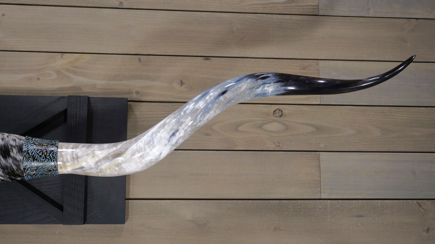 6' 7" Longhorn Wall Mount #211