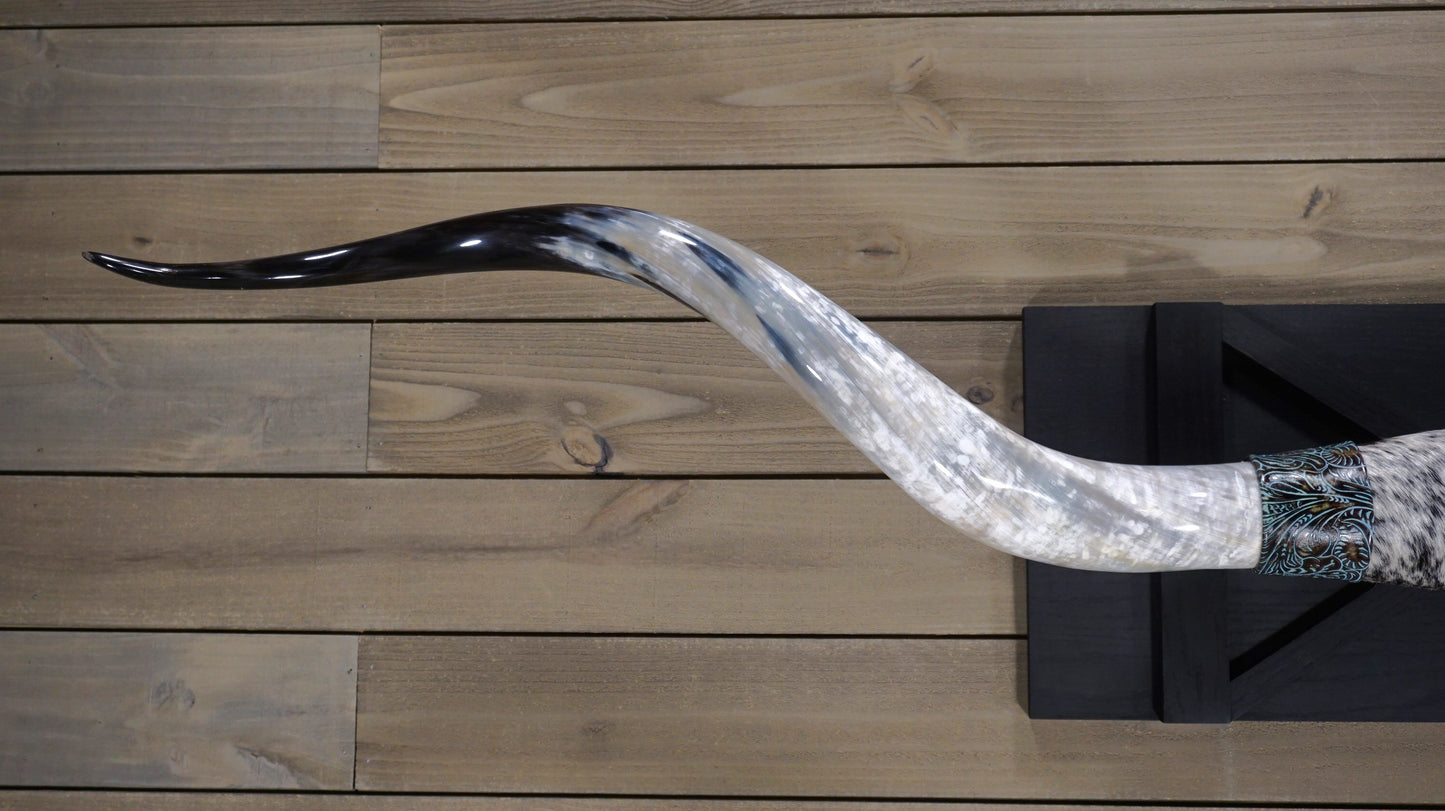 6' 7" Longhorn Wall Mount #211