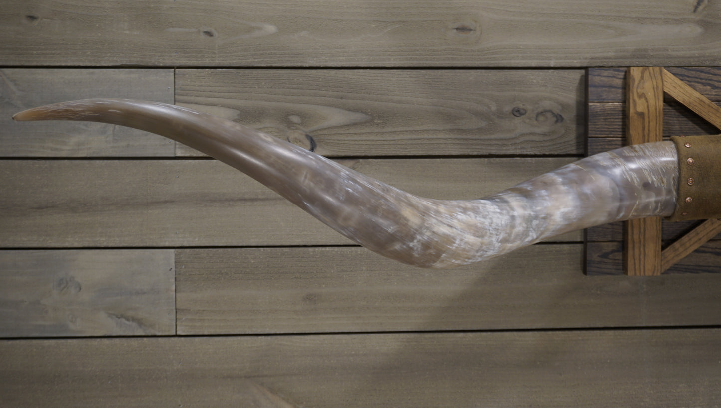 6' 9" Longhorn Wall Mount #213