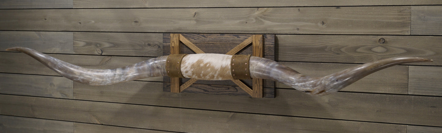 6' 9" Longhorn Wall Mount #213