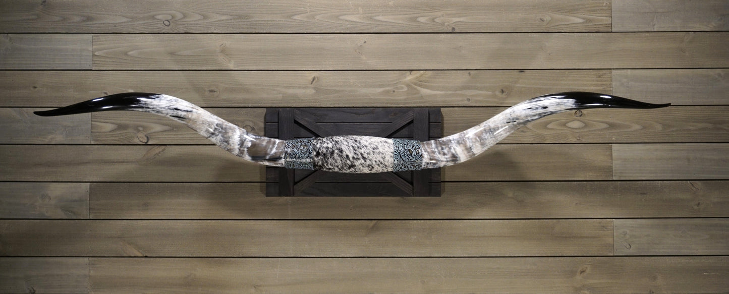 6' 8" Longhorn Wall Mount #214