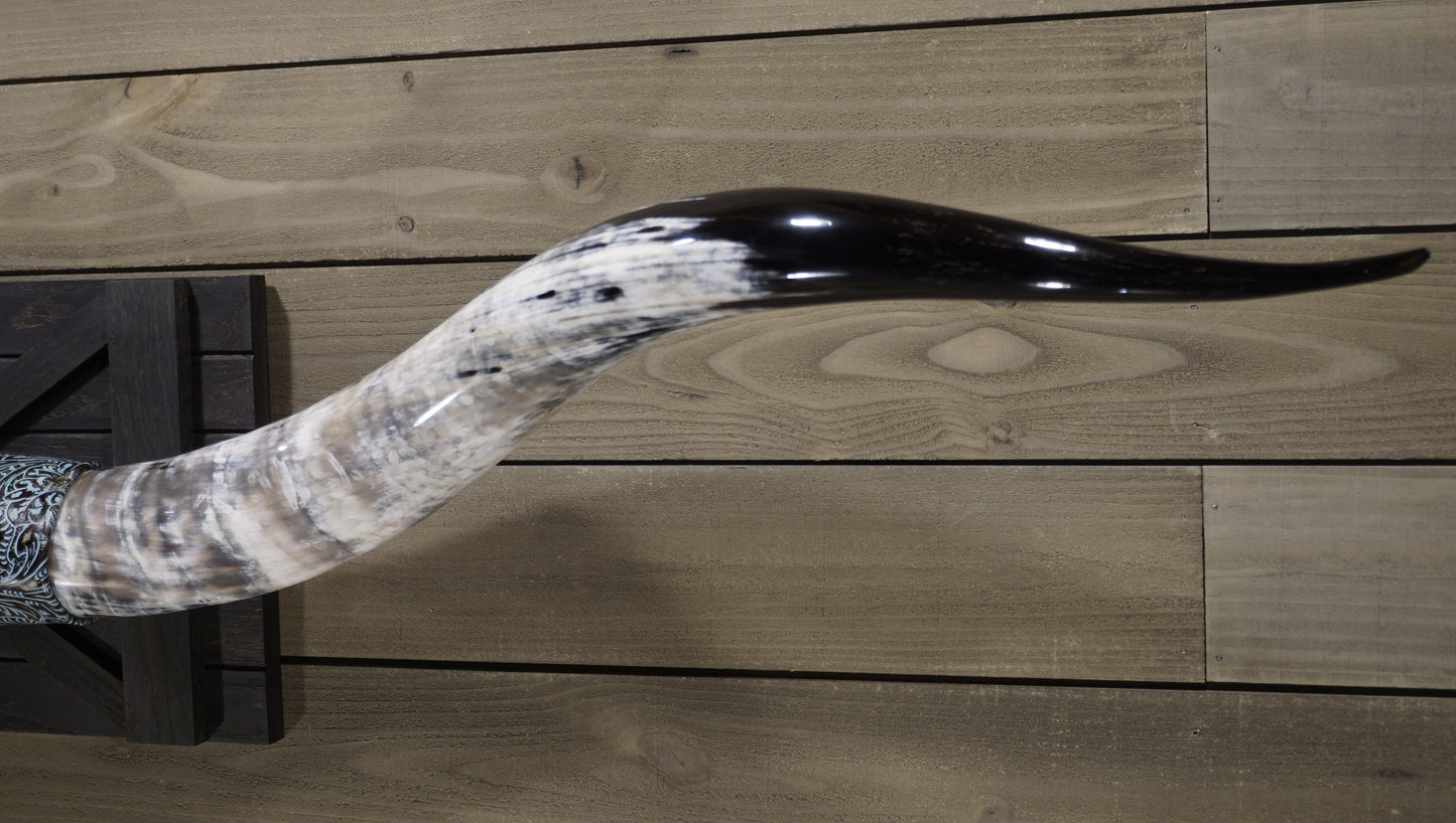 6' 8" Longhorn Wall Mount #214