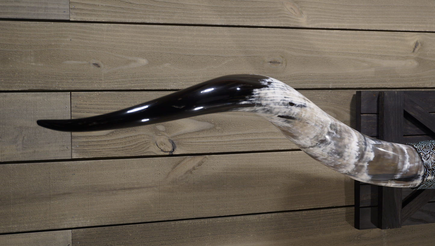 6' 8" Longhorn Wall Mount #214