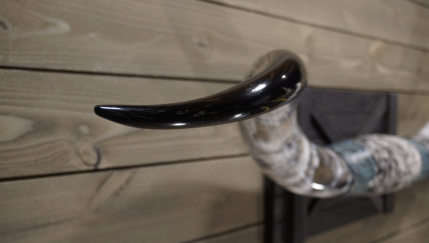 6' 8" Longhorn Wall Mount #214