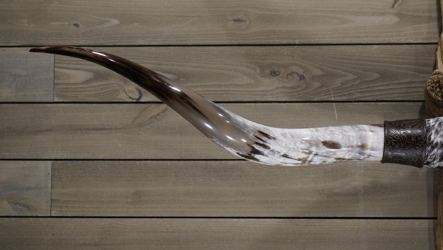 6' 0" Longhorn Wall Mount #222