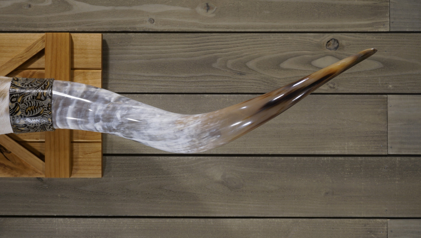 5' 1" Longhorn Wall Mount #226