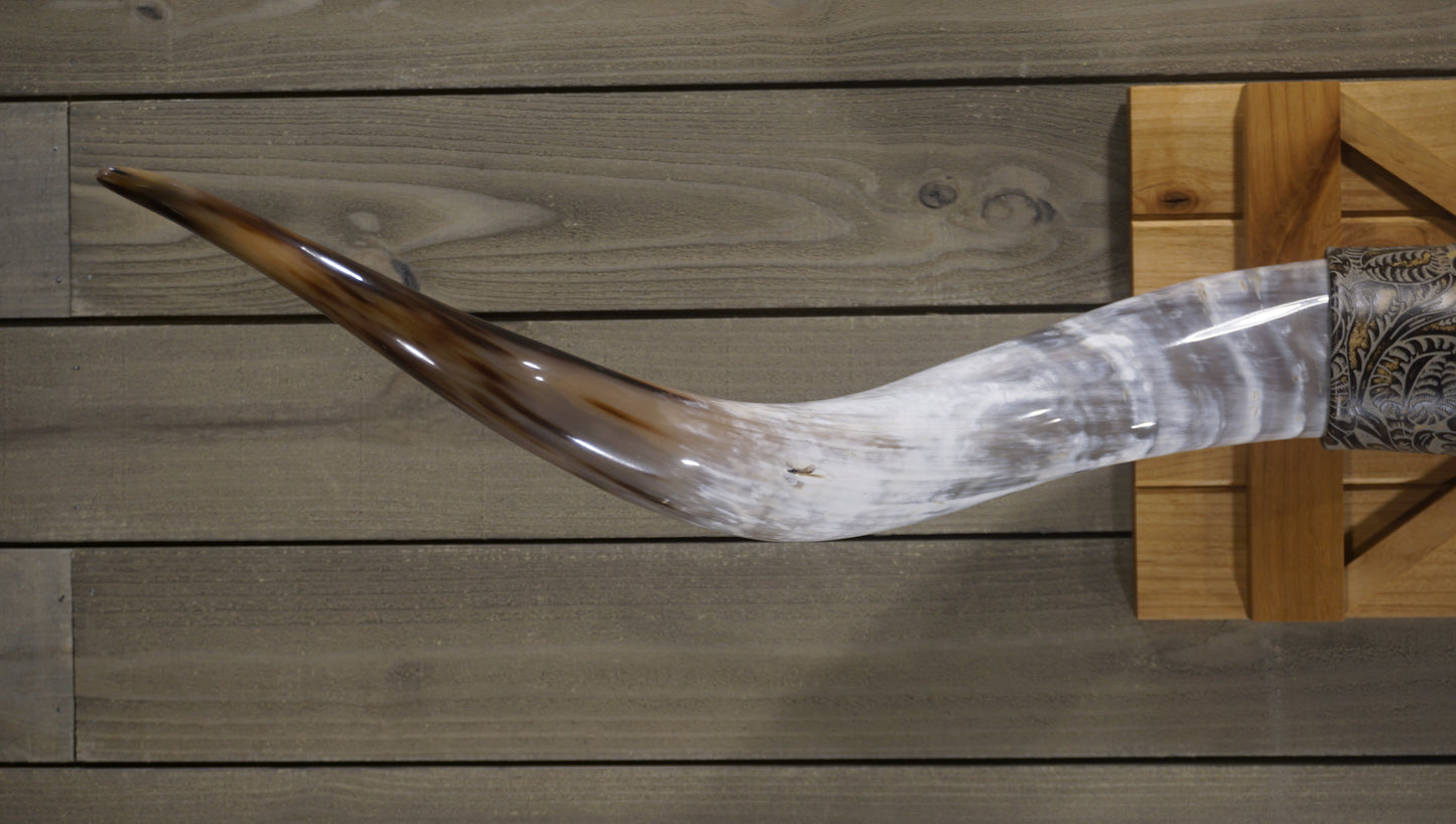 5' 1" Longhorn Wall Mount #226