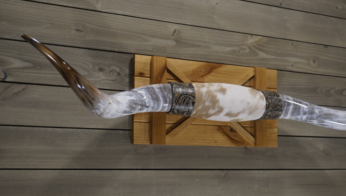 5' 1" Longhorn Wall Mount #226