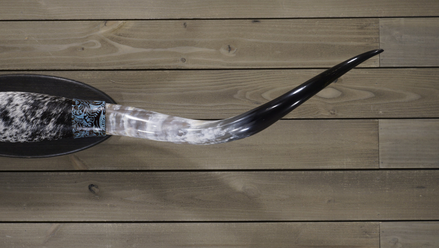 5' 8" Longhorn Wall Mount #227