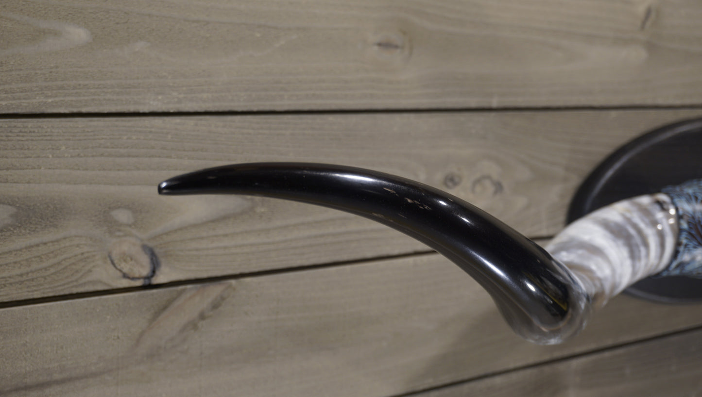 5' 8" Longhorn Wall Mount #227