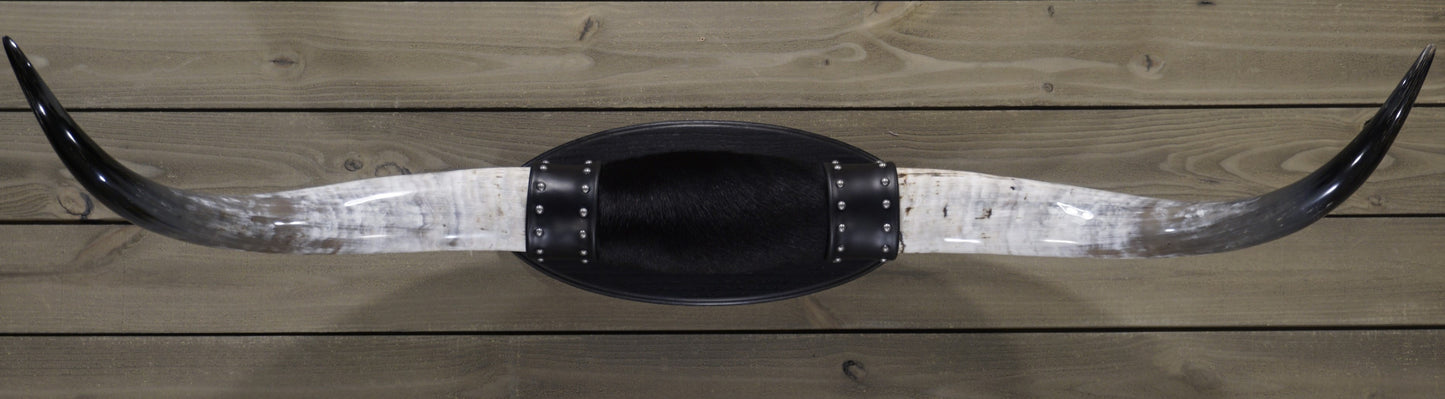 4' 7" Longhorn Wall Mount #232