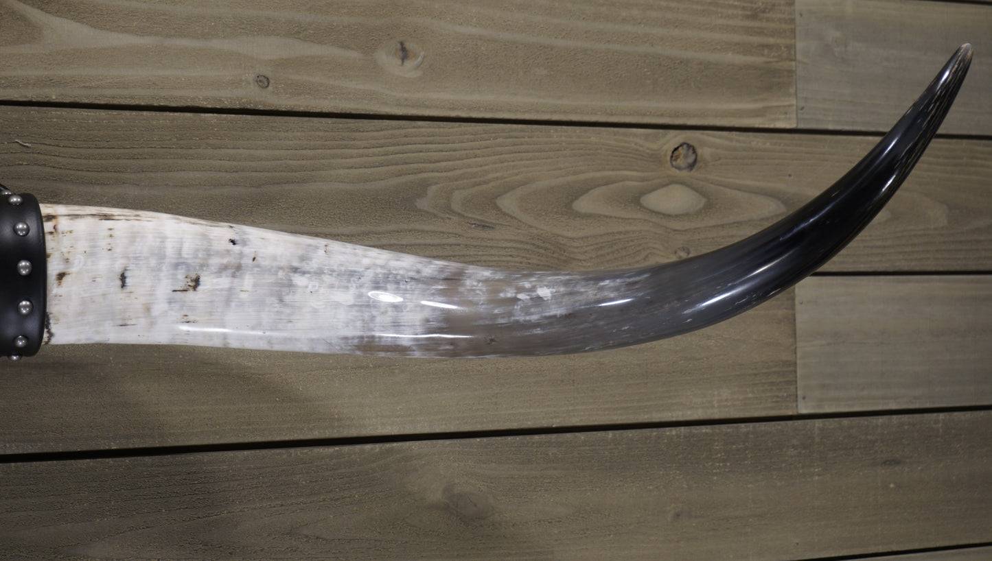 4' 7" Longhorn Wall Mount #232