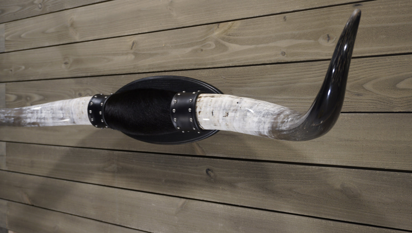 4' 7" Longhorn Wall Mount #232