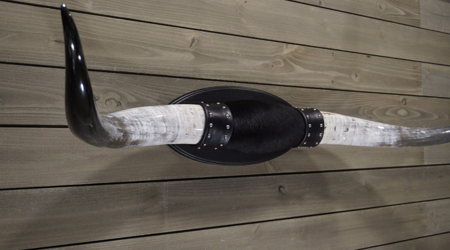 4' 7" Longhorn Wall Mount #232