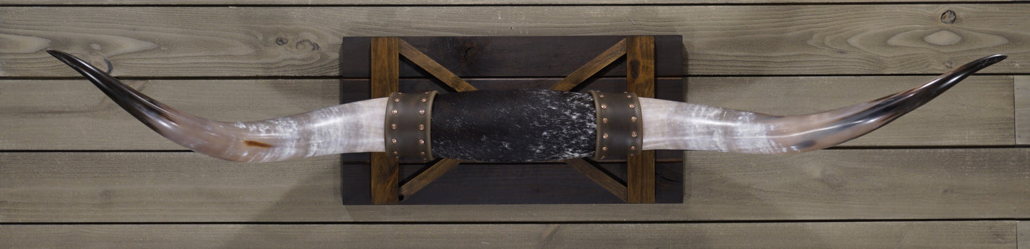 5' 0" Longhorn Wall Mount #238
