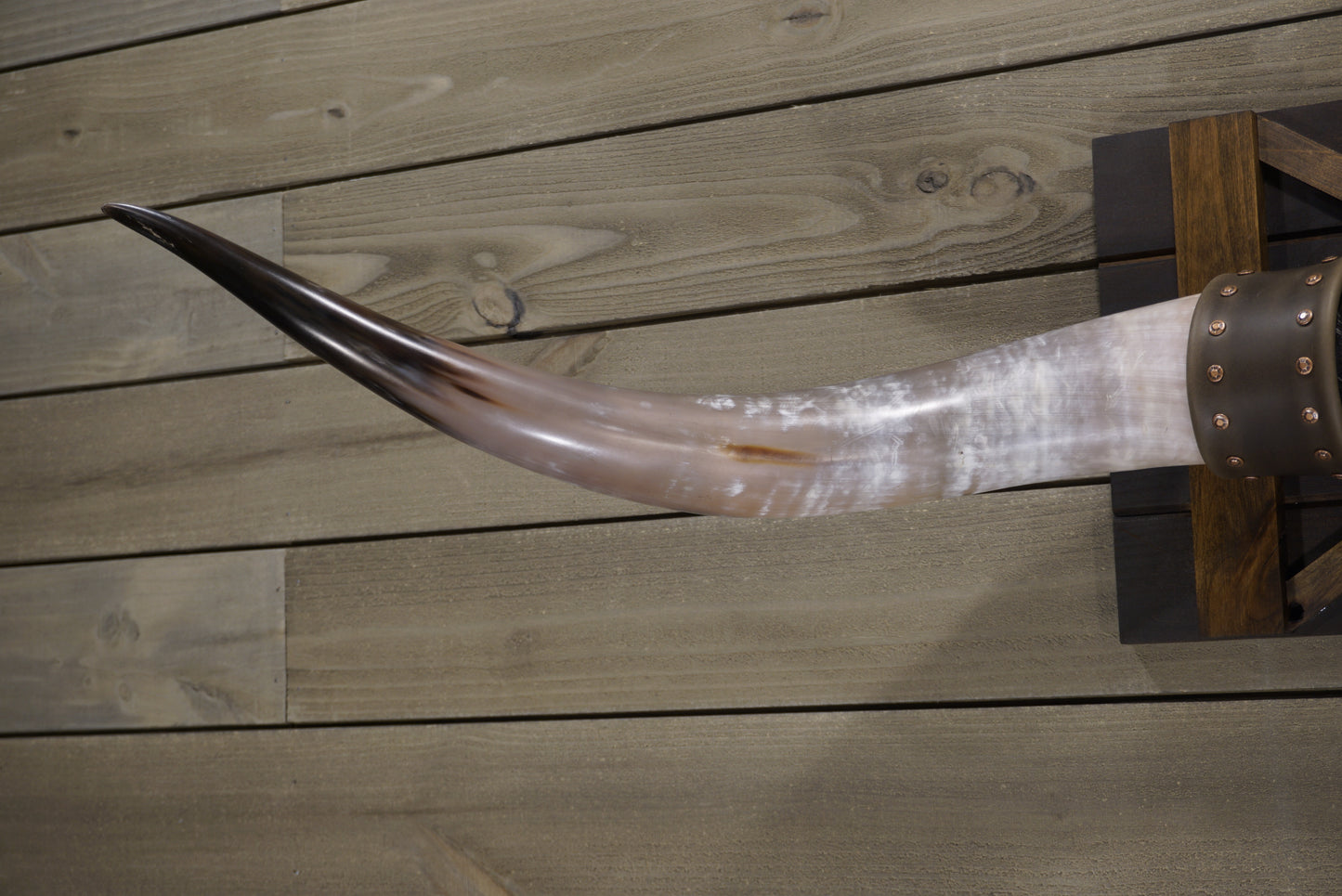 5' 0" Longhorn Wall Mount #238