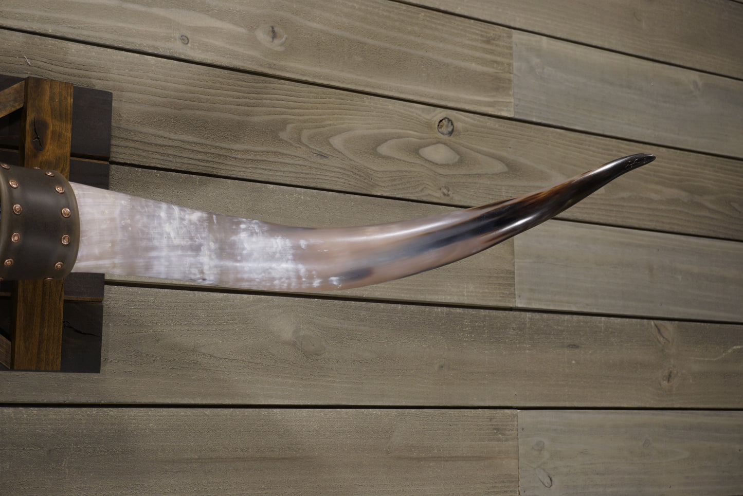 5' 0" Longhorn Wall Mount #238