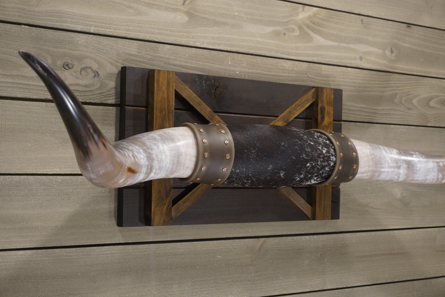 5' 0" Longhorn Wall Mount #238