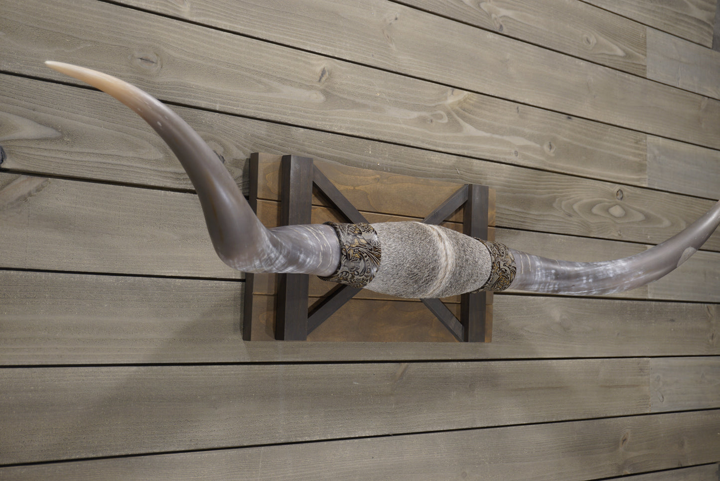 5' 5" Longhorn Wall Mount #239