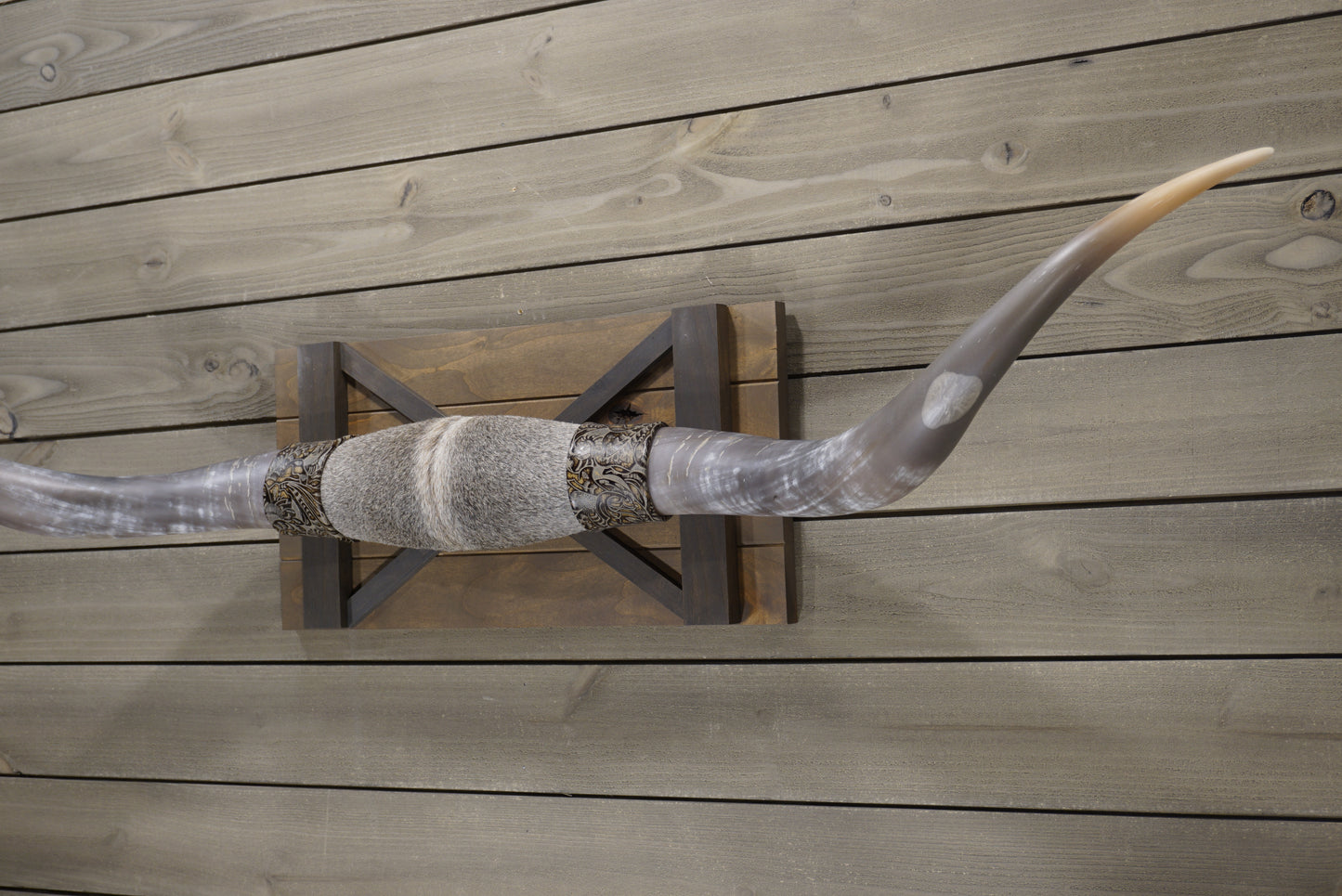 5' 5" Longhorn Wall Mount #239