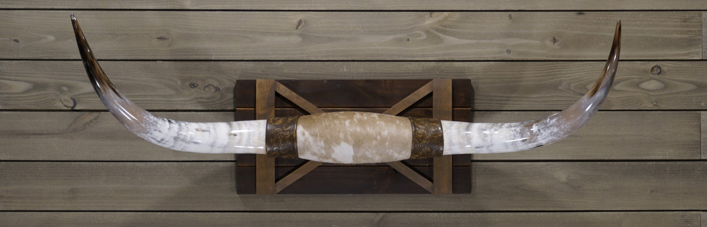 4' 2" Longhorn Wall Mount #240