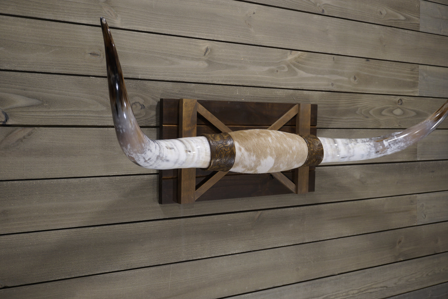 4' 2" Longhorn Wall Mount #240