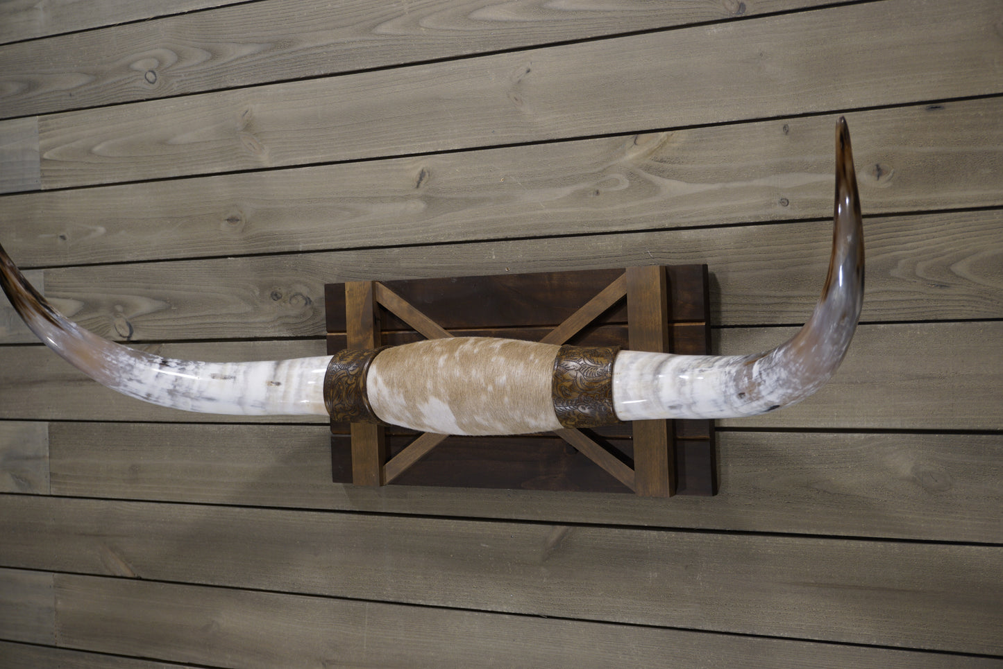 4' 2" Longhorn Wall Mount #240
