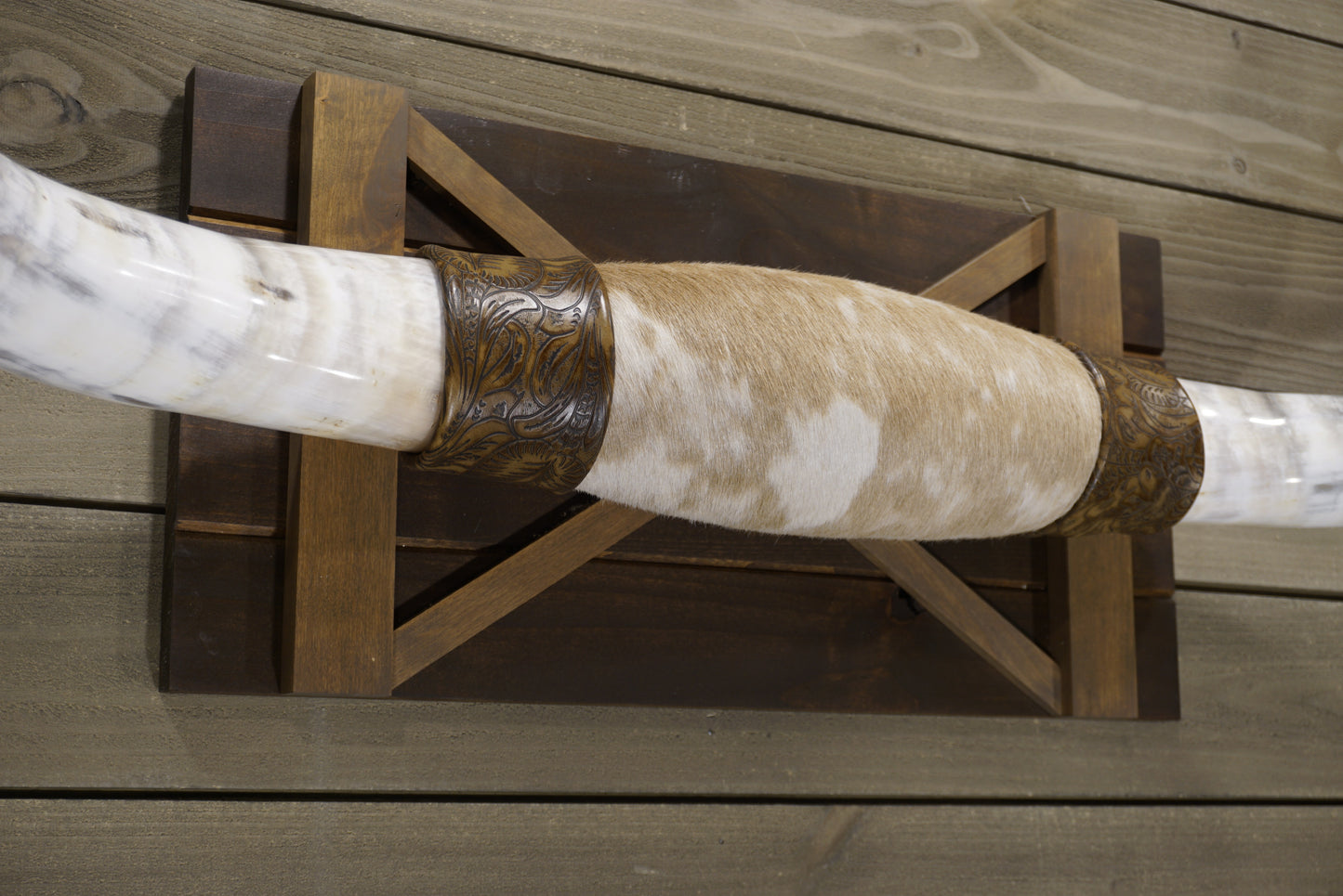 4' 2" Longhorn Wall Mount #240