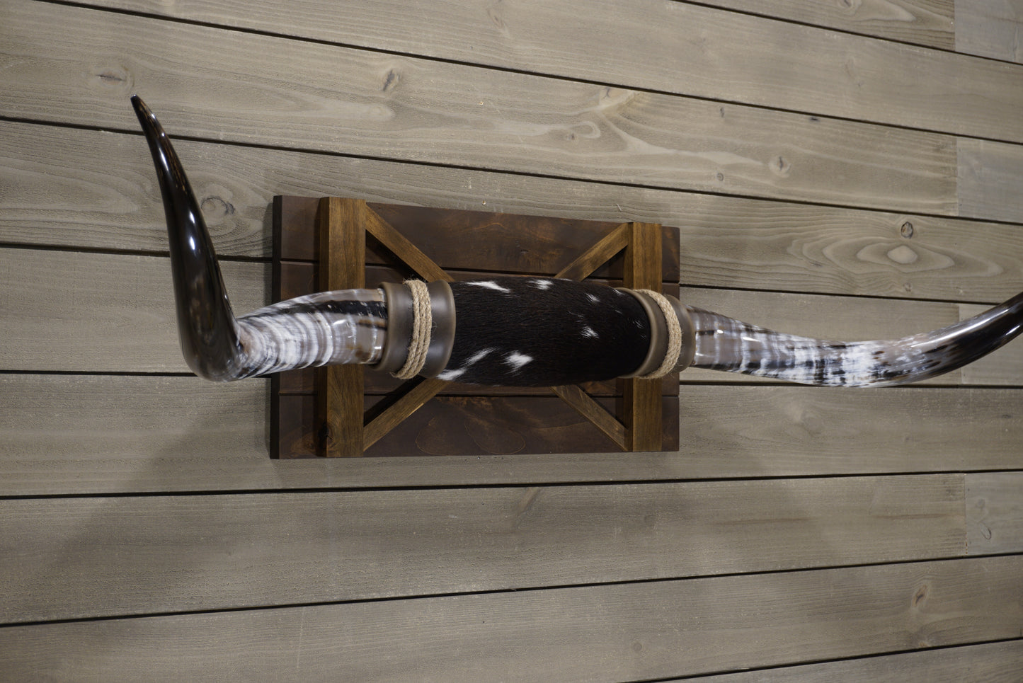 4' 8" Longhorn Wall Mount #241