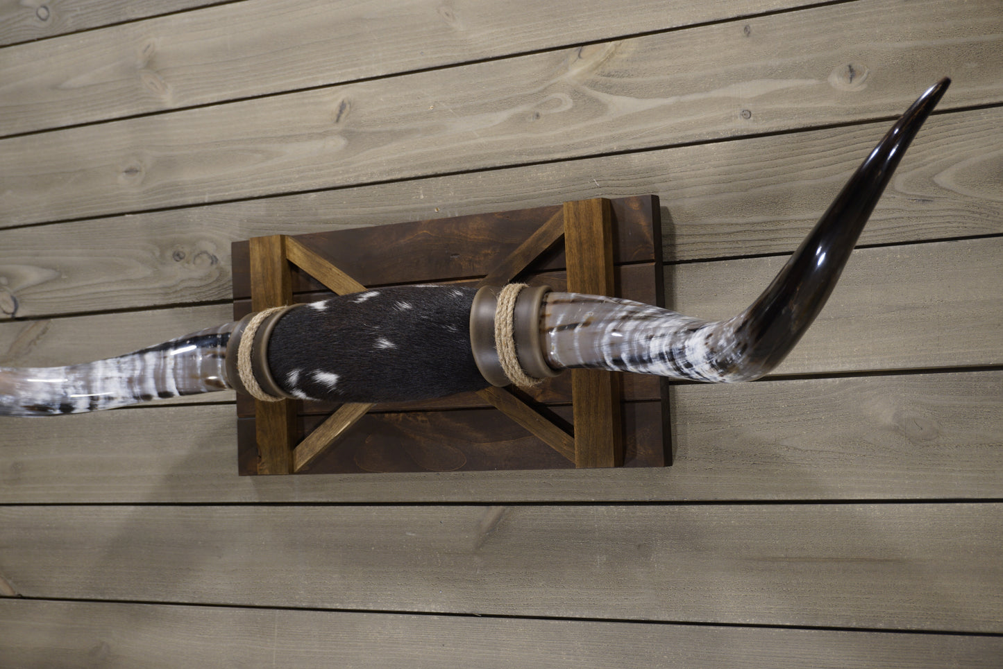 4' 8" Longhorn Wall Mount #241
