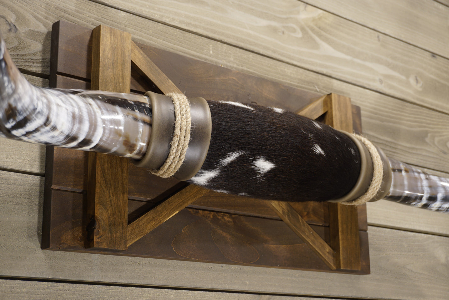 4' 8" Longhorn Wall Mount #241