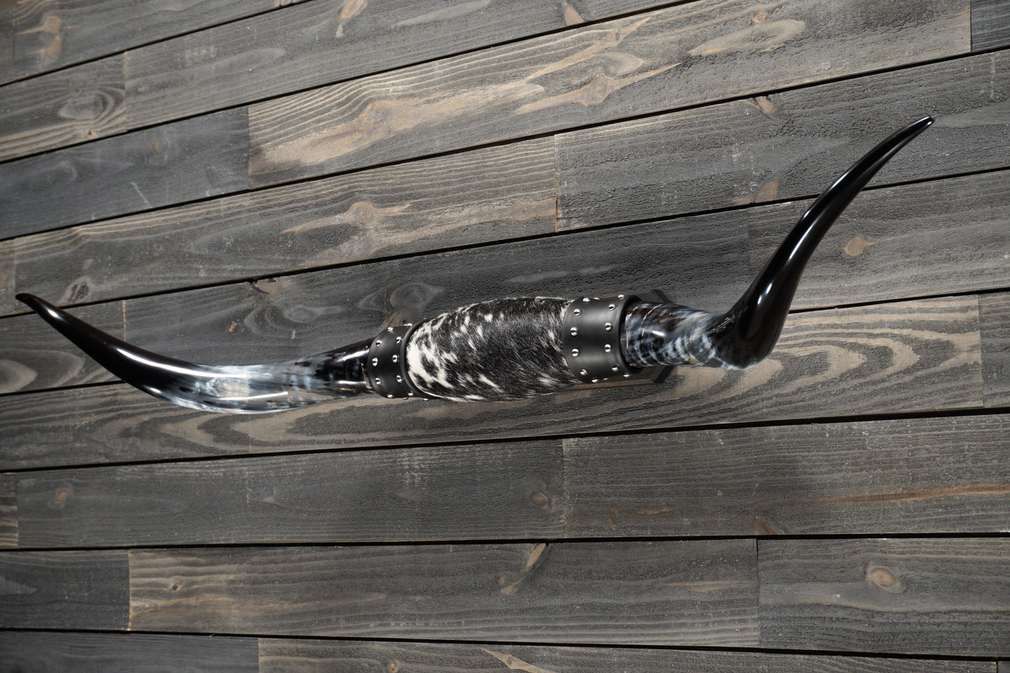 5' 1" Longhorn Wall Mount #276