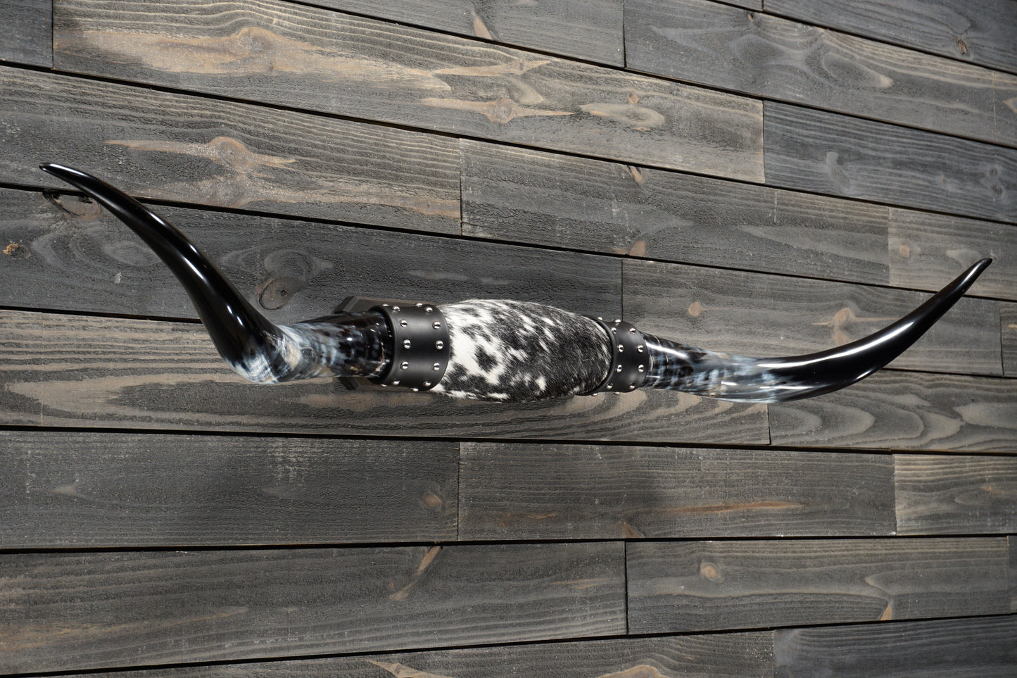 5' 1" Longhorn Wall Mount #276