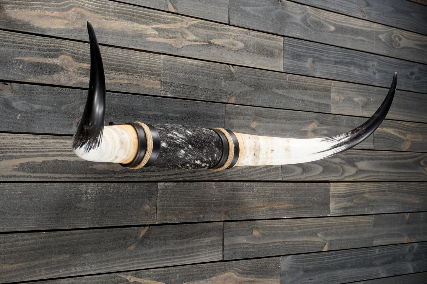 4' 1" Longhorn Wall Mount #287