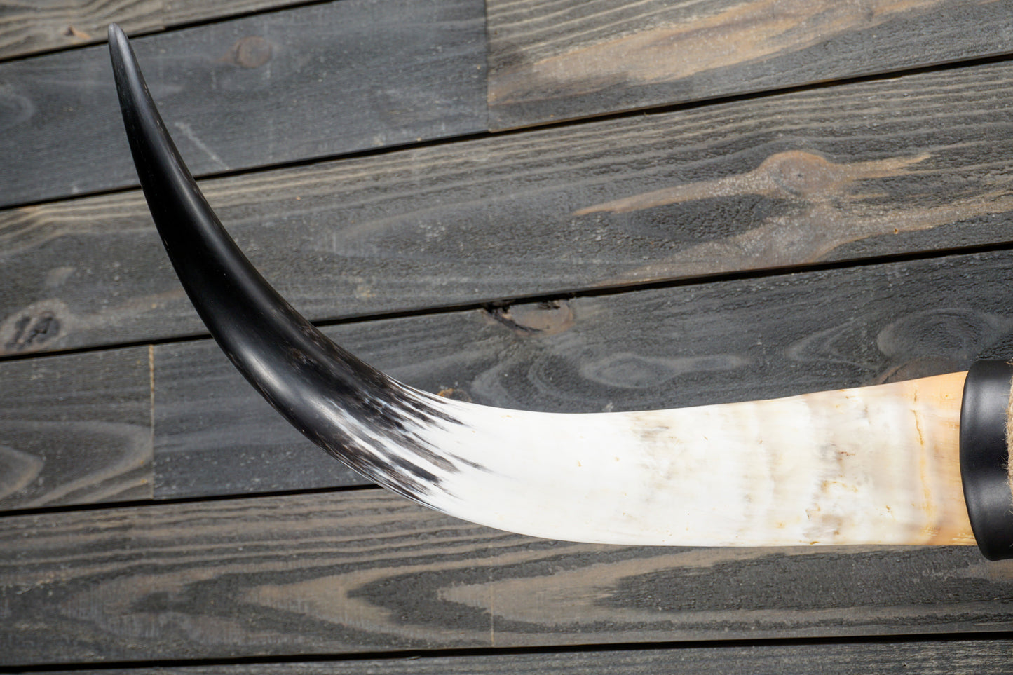 4' 1" Longhorn Wall Mount #287