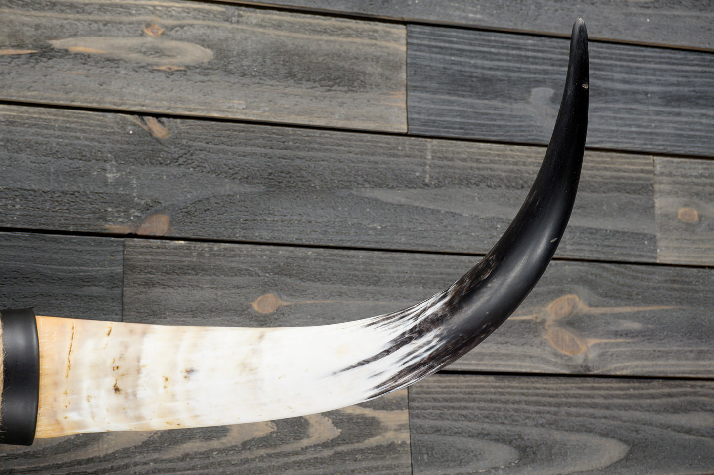 4' 1" Longhorn Wall Mount #287