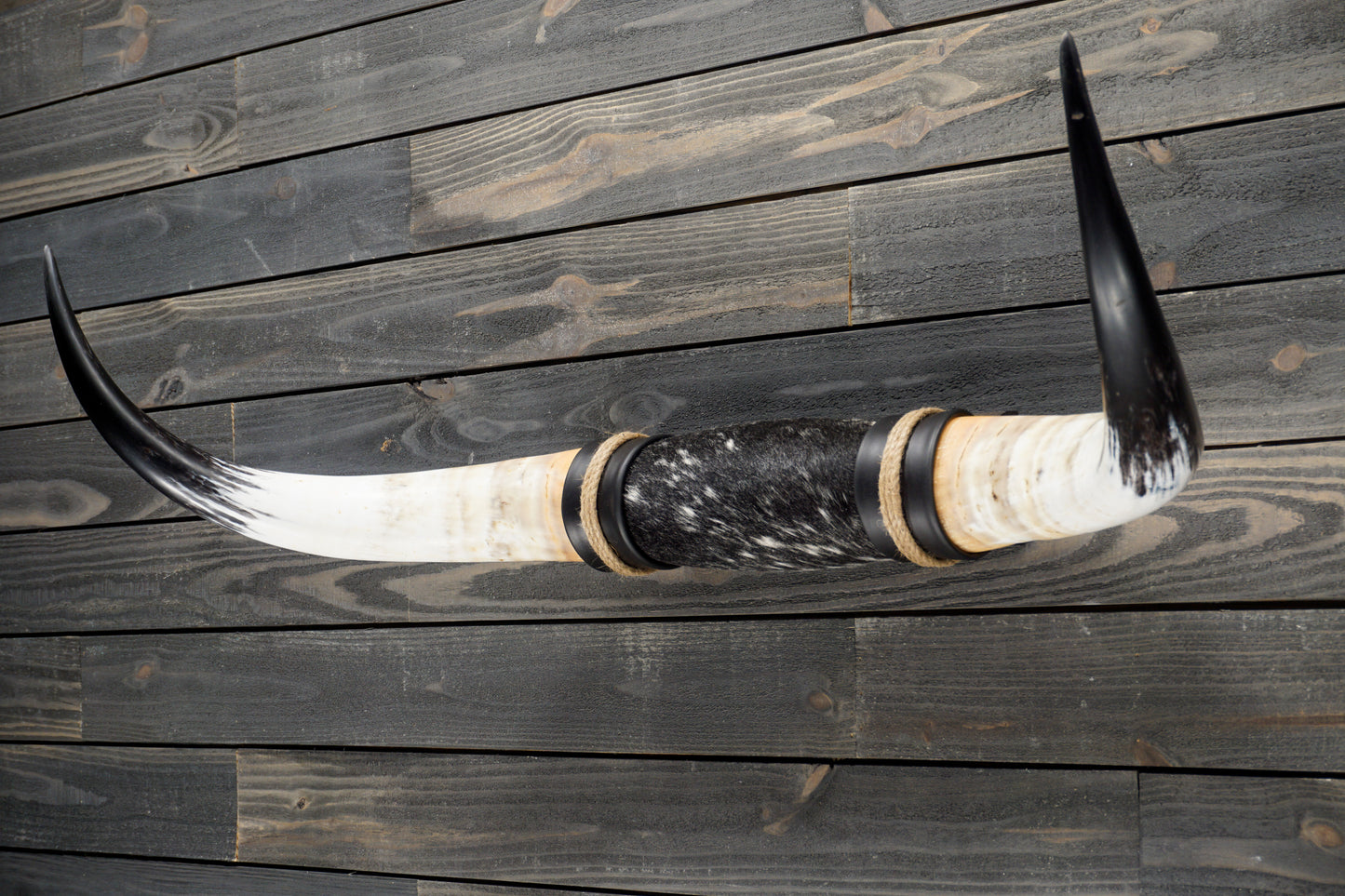4' 1" Longhorn Wall Mount #287