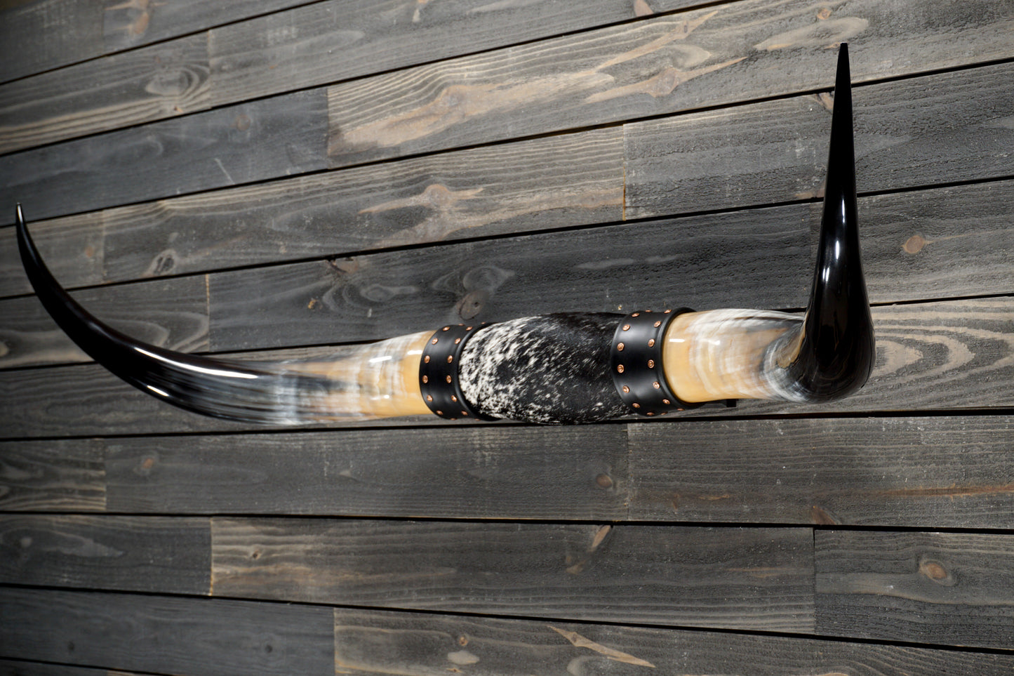 5' 0" Longhorn Wall Mount #367