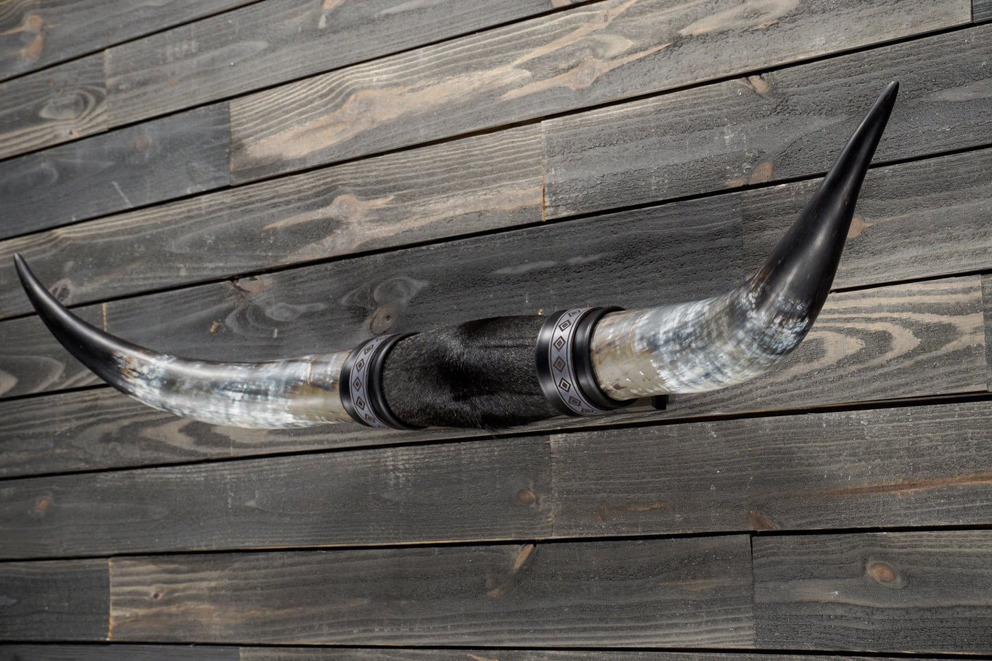 4' 7" Longhorn Wall Mount #331