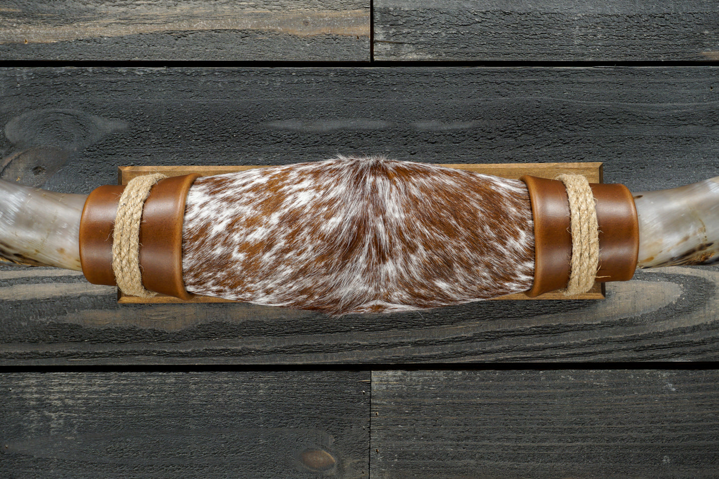 5' 6" Longhorn Wall Mount #272