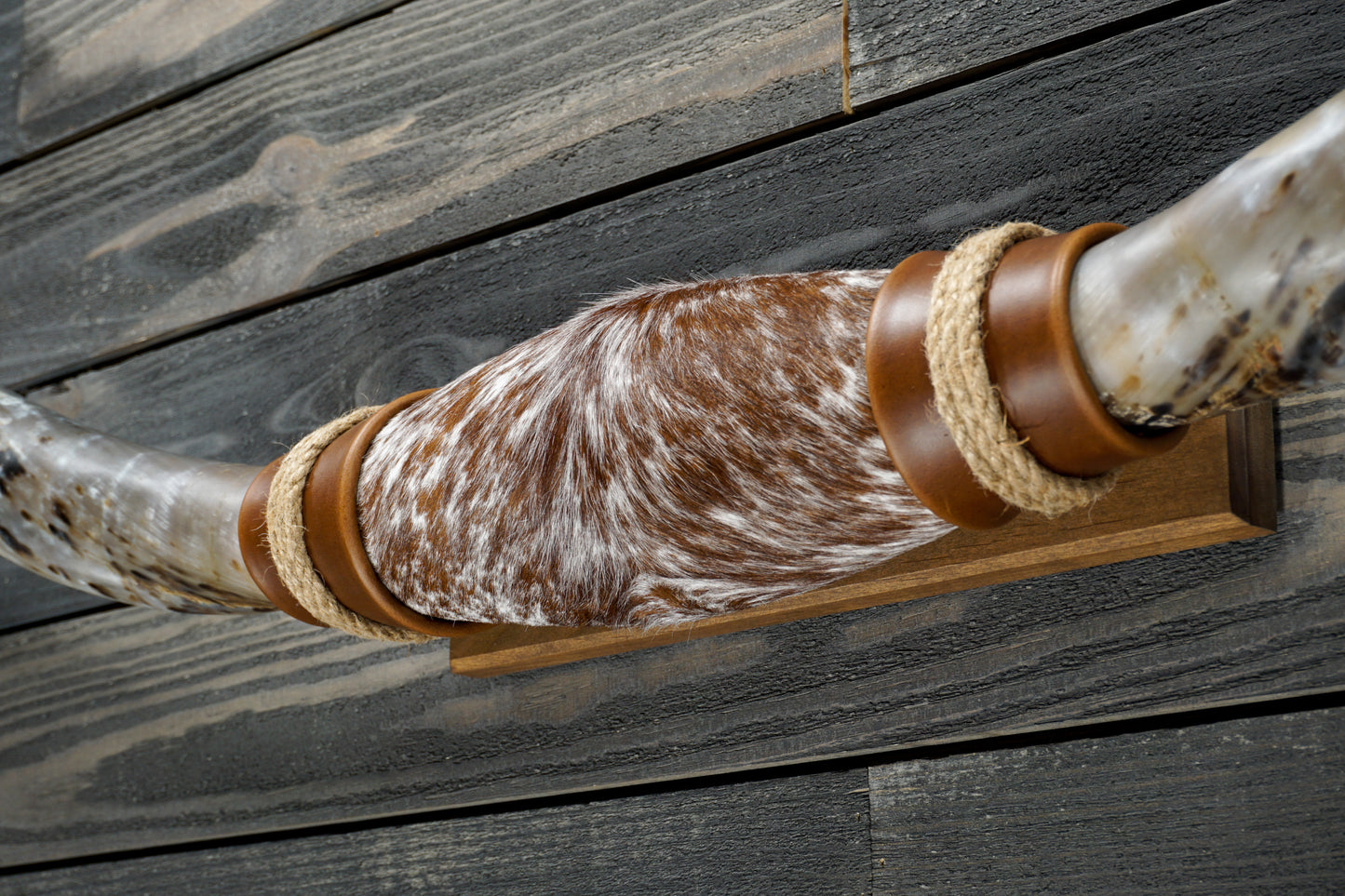 5' 6" Longhorn Wall Mount #272